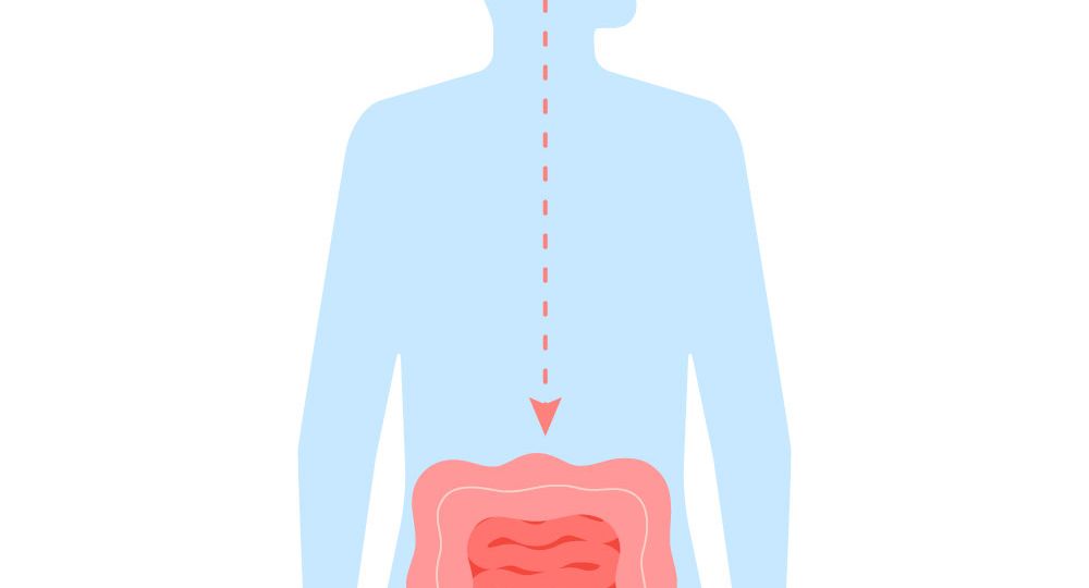 Thais-Pocas-Cerebro-Intestino-web