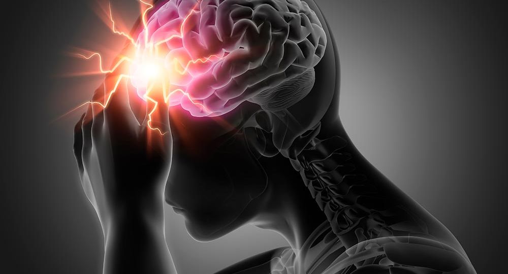 Thais-Pocas-Cerebro-web